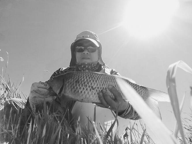 IMG_20170615_113335.jpg