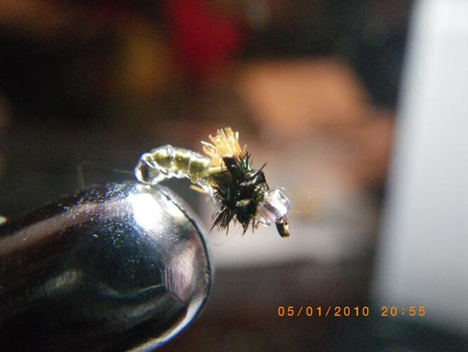 Paul Danger Baby Fly.jpg