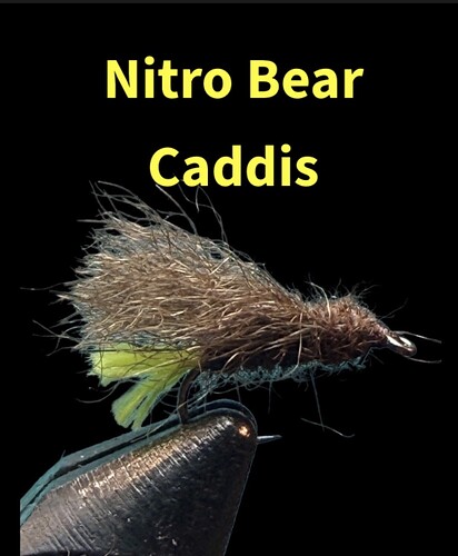 IMG_2464 nitro bear caddis