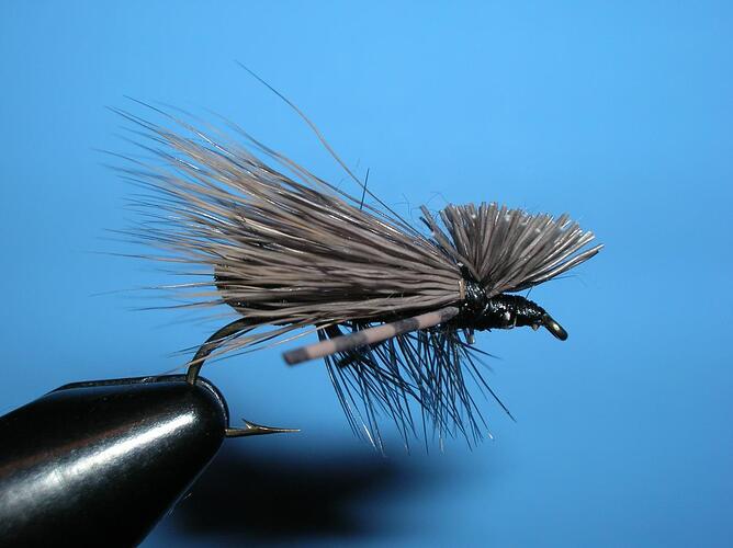 Foam Butt Caddis.jpg