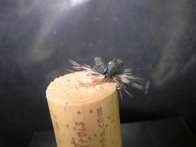 ant para.jpg