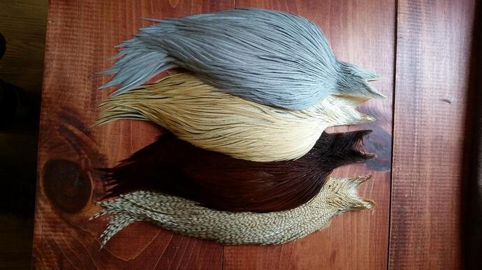 Hackle1 - Edited.jpg