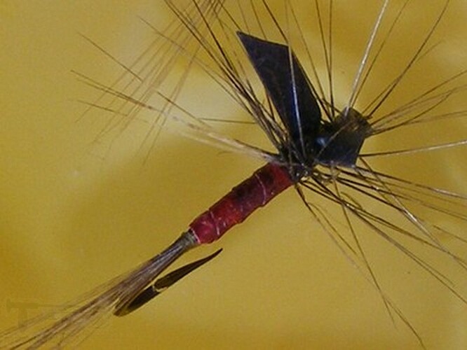 DSCF4566.jpg