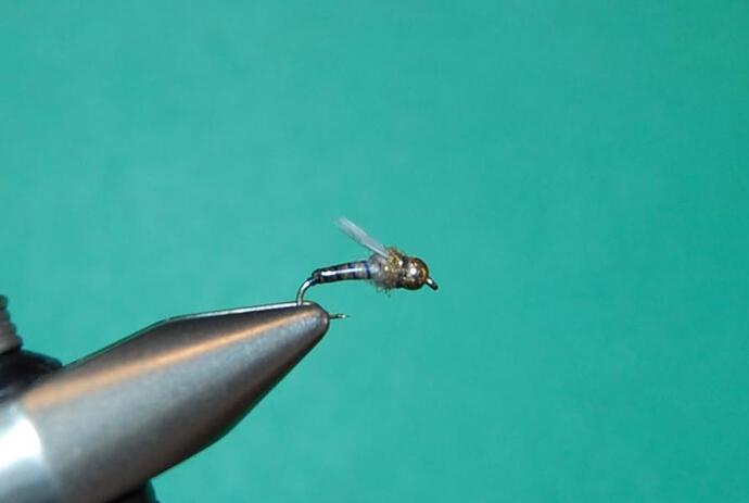 Blue Moose Nymph.jpg