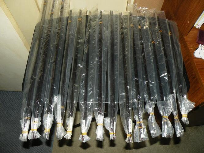 Goldeneye's 2 002.jpg