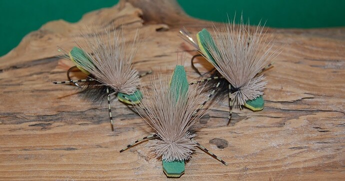 Kc Bug Body KC Bug - Fly Patterns - FlyAnglers Online