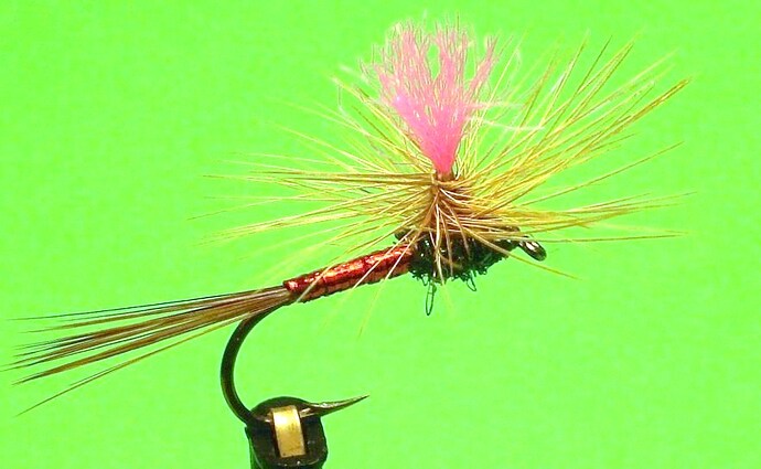 Cherry Limade Parachute.jpg