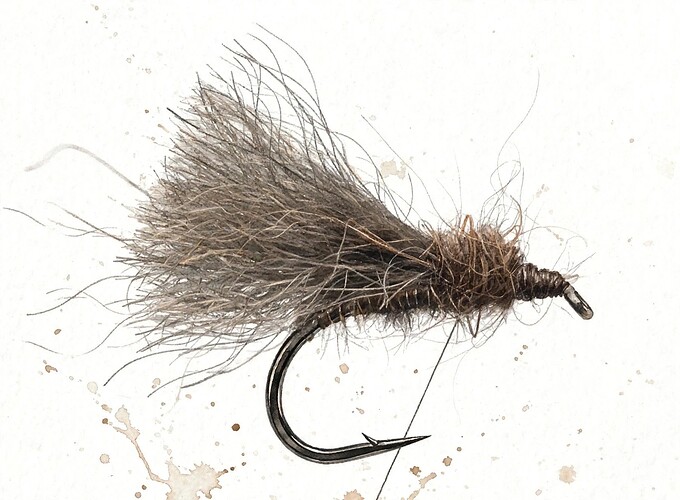 plain black bear caddis