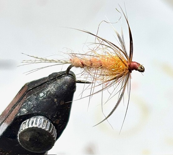 Shakey Variant Attractor