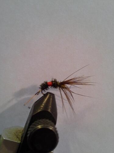 Kebari Coachman 2.jpg