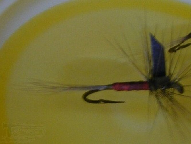 DSCF4565.jpg