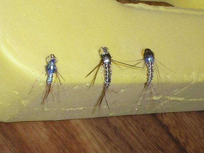 Braided L Bug 1.jpg