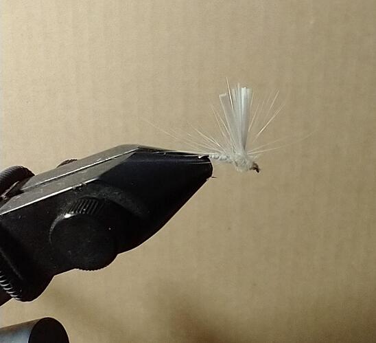 ephoron parachute.jpg