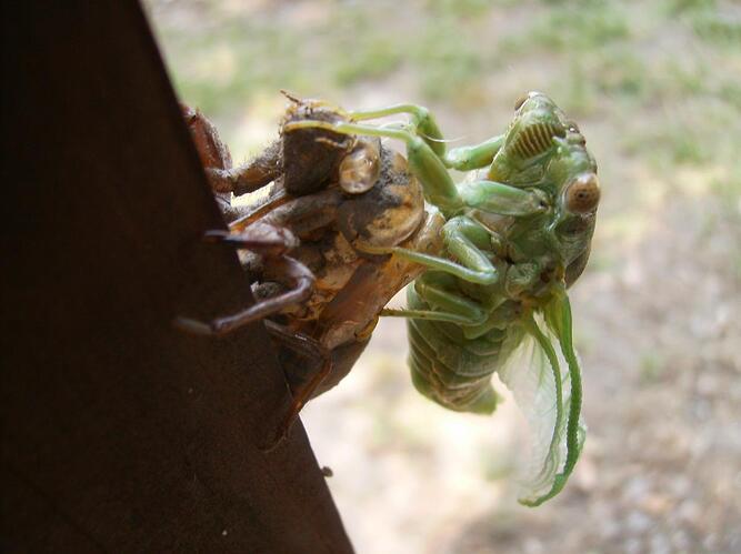 mis pics of 2011 035.jpg