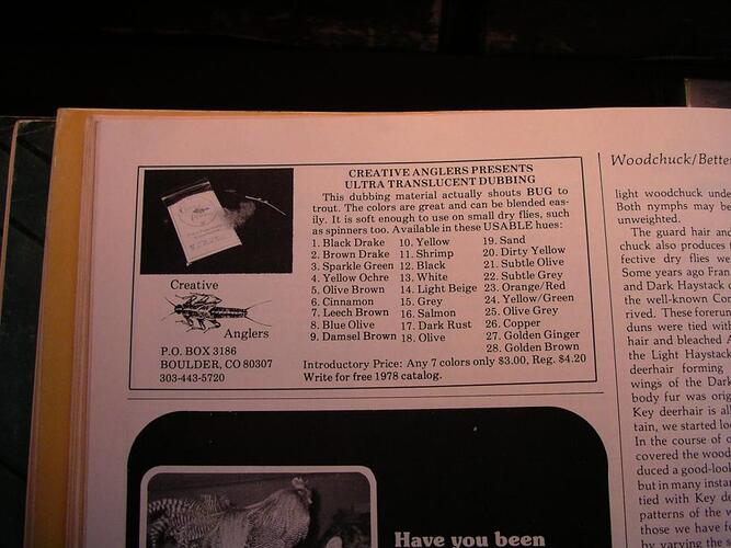 Ads for Ligas 003.jpg