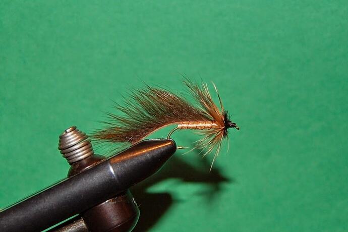 Ralph's Little Pine.jpg