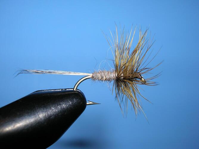 FC March Brown.jpg