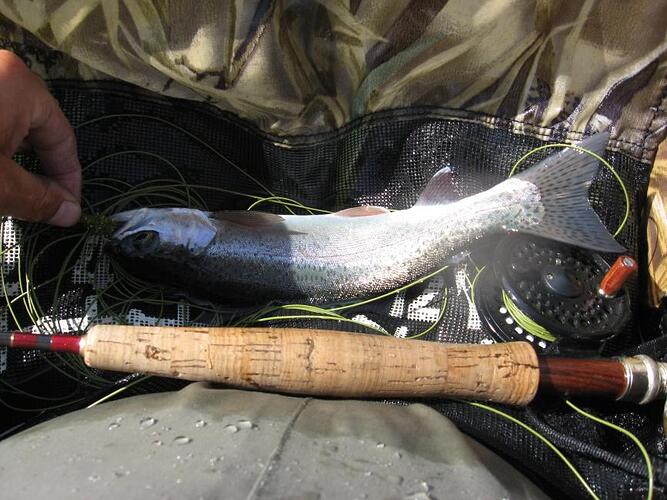 Camping at 2nd Lake 110.jpg