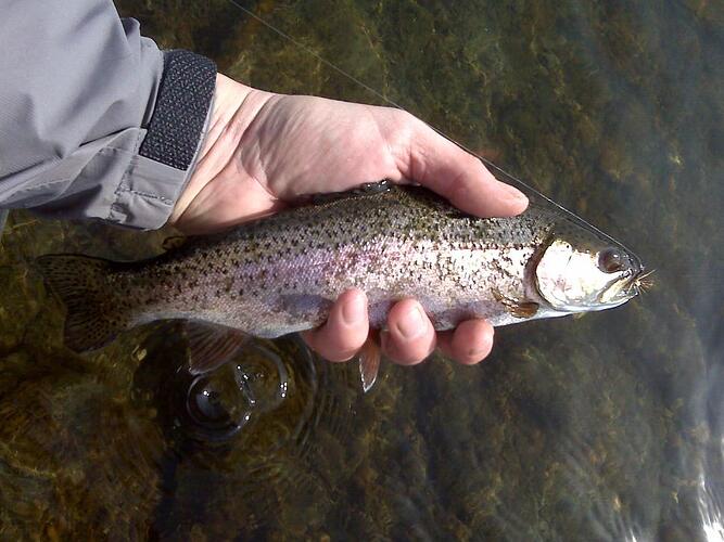 fishing trip 2 015.jpg