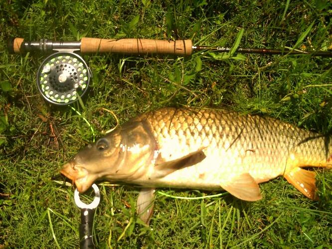 June 2011 carp fishing 014.jpg