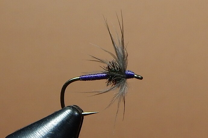 Starling & Purple with thorax 1080