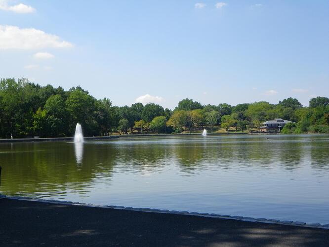 IMGP0202.jpg