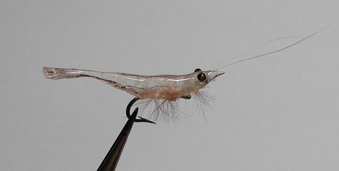 Mysis 13- pink.jpg