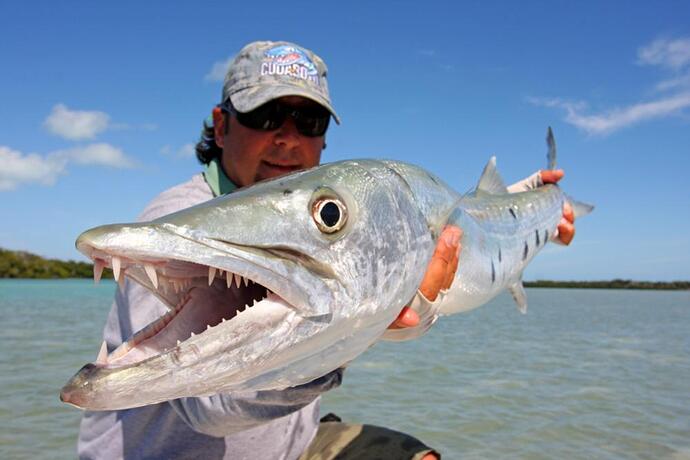 IMG_1960 LG and flats cuda.jpg