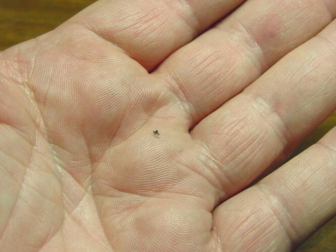#32onHand.jpg