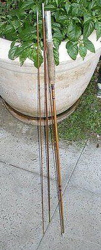 Kingfisher5.jpg