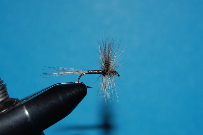 DSC_1290.jpg