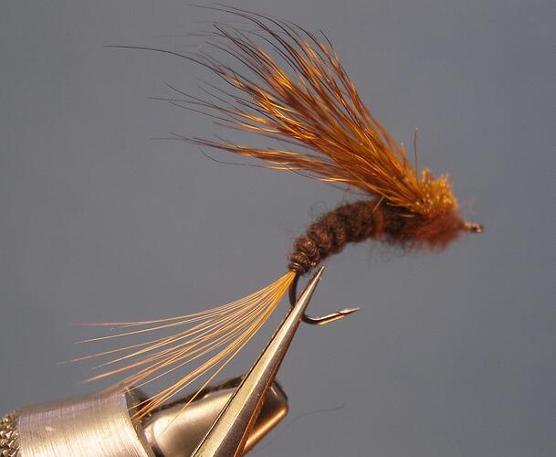 Dry fly 9- caddis 2.jpg