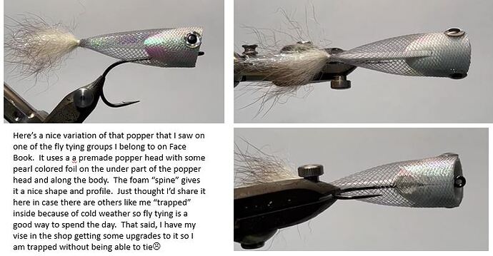 Web popper.JPG