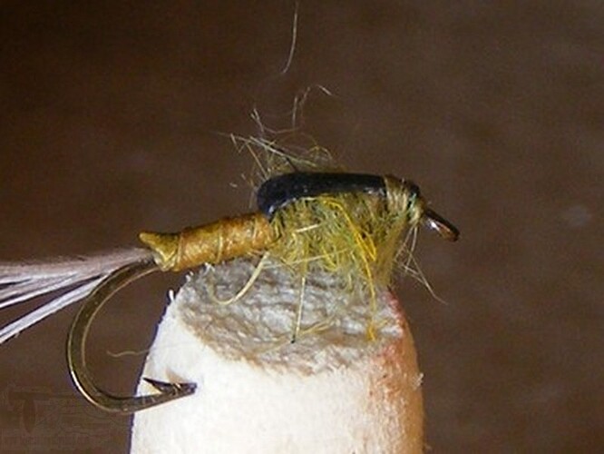DSCF4543.jpg