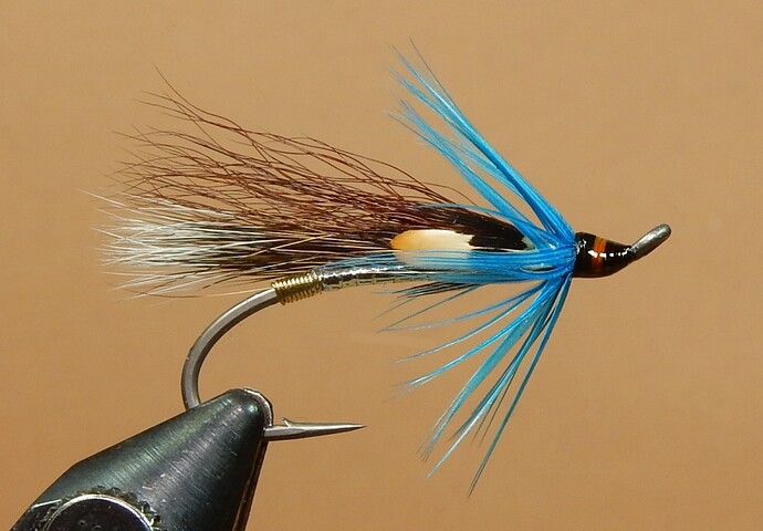 Silver Vulture 1080.JPG