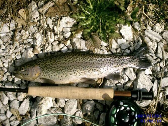 423779_389754881035416_1258276075_n (1).jpg