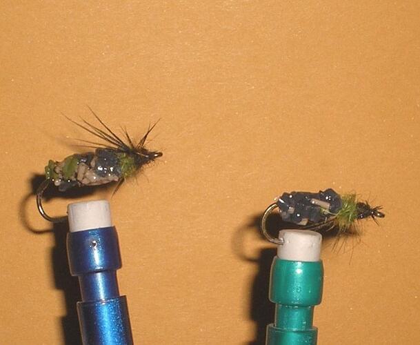 Cased caddis 2.jpg