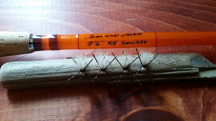 Spring Miller - Edited.jpg