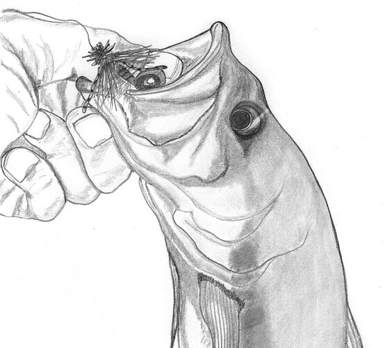 FBC Bass Sketch 001 - Copy.jpg