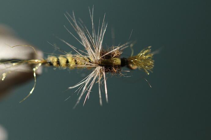 floating nymph 2.jpg