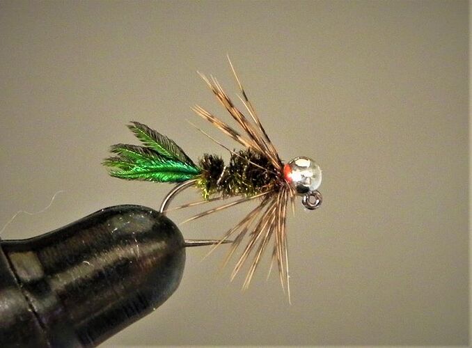 DSCN3289 (2)02 - Copy.jpg