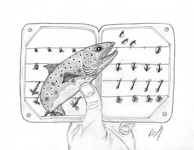 The Fly Box 001.jpg