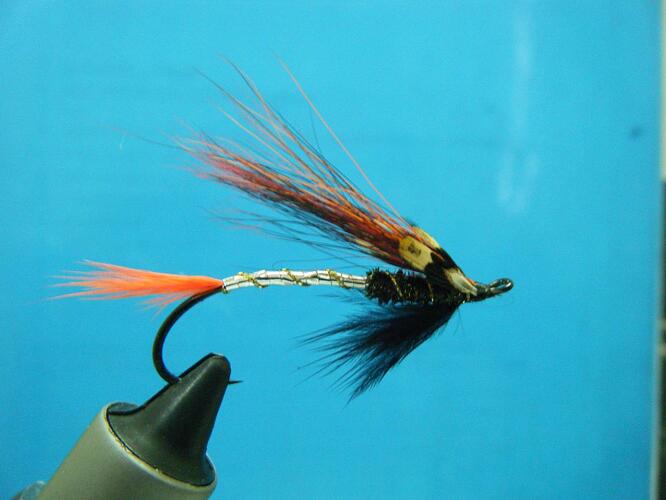 Crinsom Glory 004.jpg