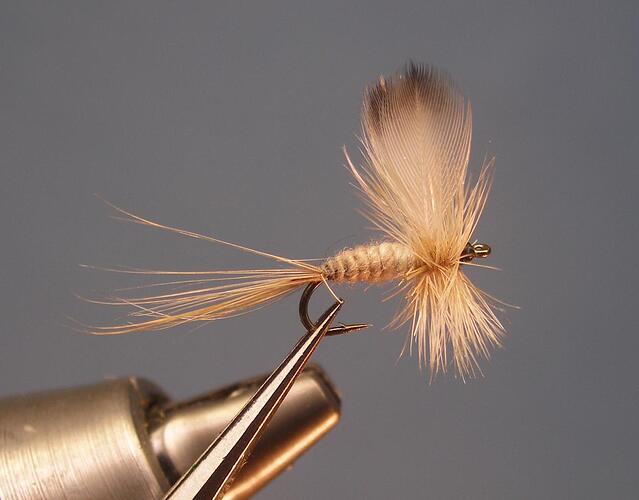 Dry fly 14.jpg