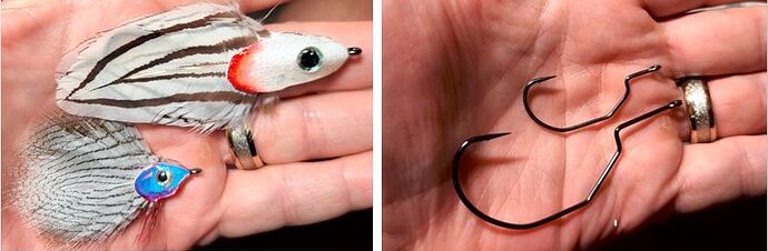 Feather Baitfish.JPG