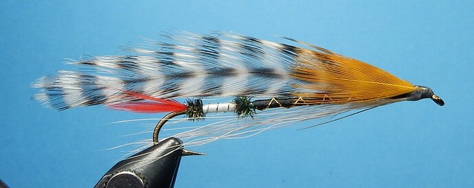 Webster Lake Surprise 1080.JPG