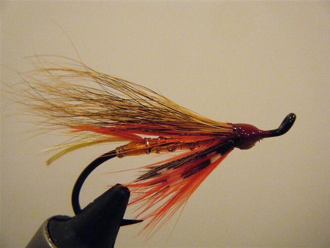Orange 001 (Medium).jpg