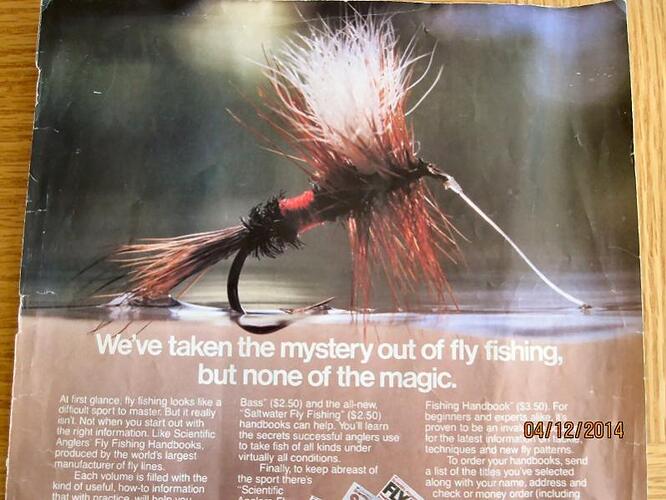 fly.jpg