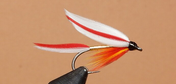 Ibis-Gold-1080.jpg