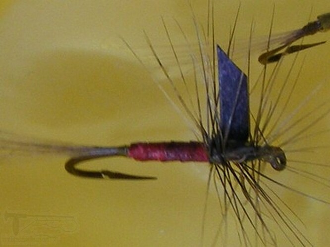 DSCF4567.jpg